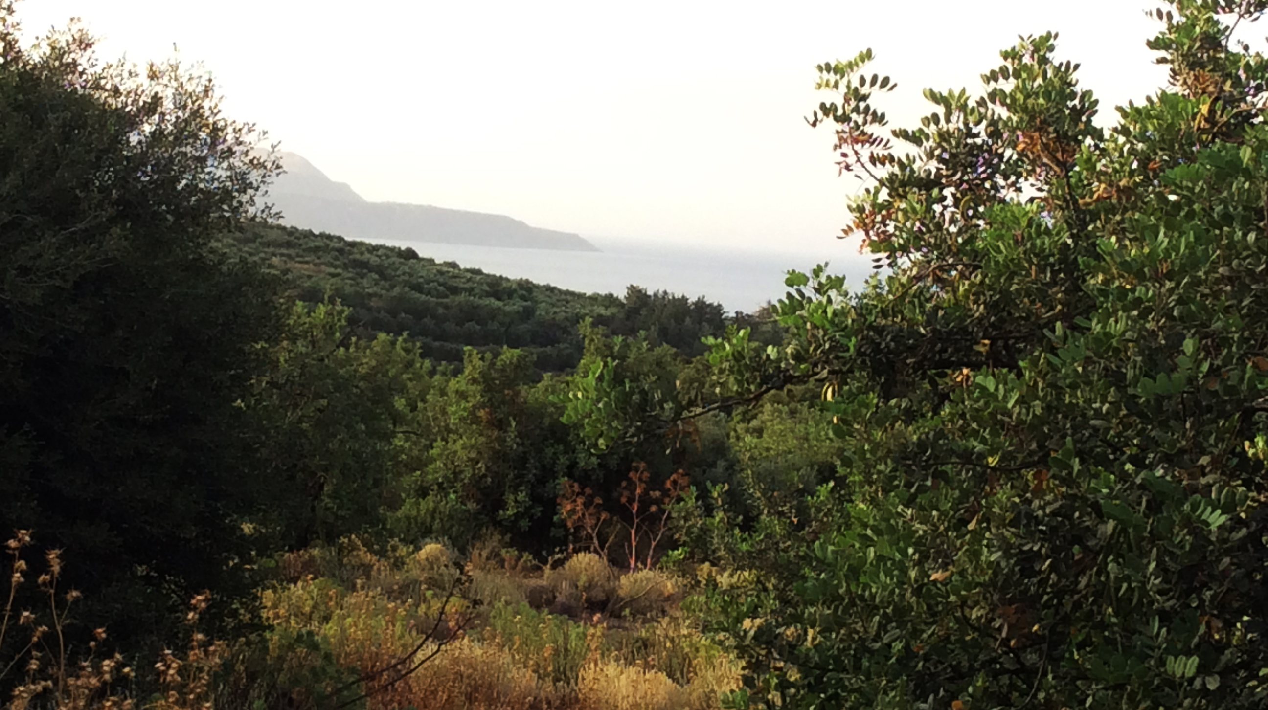 Plot with mountain and sea views in Tzivara / 1