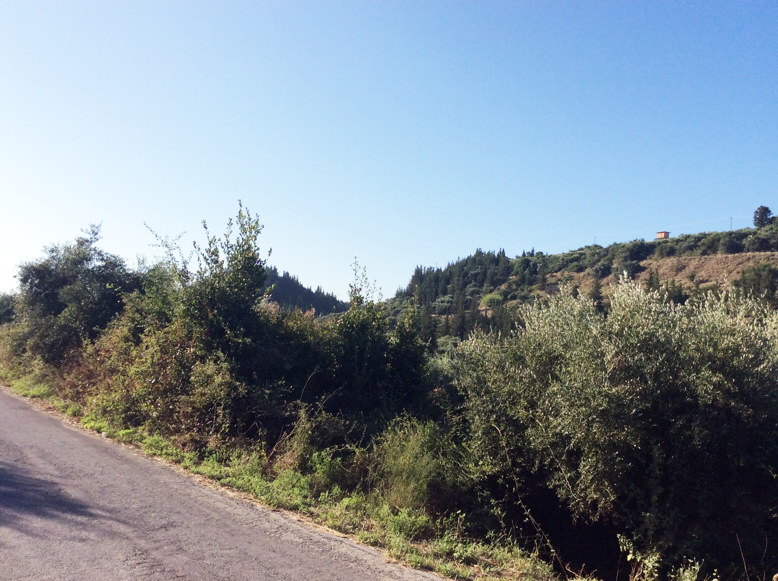 Plot facing the main street of the old national road, Vryses /4